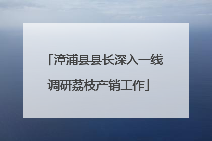 漳浦县县长深入一线调研荔枝产销工作