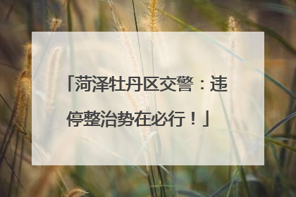 菏泽牡丹区交警：违停整治势在必行！