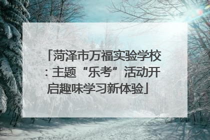 菏泽市万福实验学校：主题“乐考”活动开启趣味学习新体验
