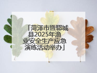菏泽市暨郓城县2025年渔业安全生产应急演练活动举办
