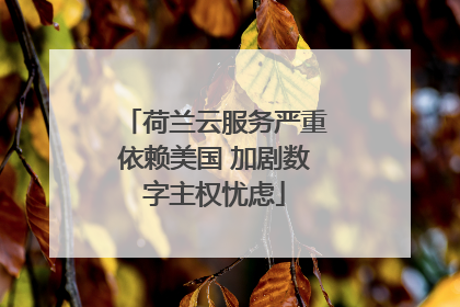 荷兰云服务严重依赖美国 加剧数字主权忧虑