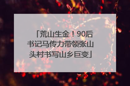 荒山生金！90后书记马传力带领张山头村书写山乡巨变