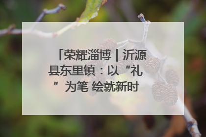 荣耀淄博｜沂源县东里镇：以“礼”为笔 绘就新时代乡风文明画卷