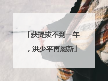 获提拔不到一年，洪少平再履新