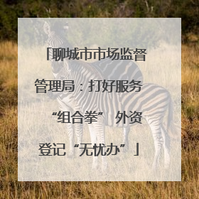 聊城市市场监督管理局：打好服务“组合拳” 外资登记“无忧办”