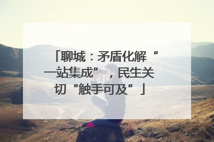 聊城：矛盾化解“一站集成”，民生关切“触手可及”