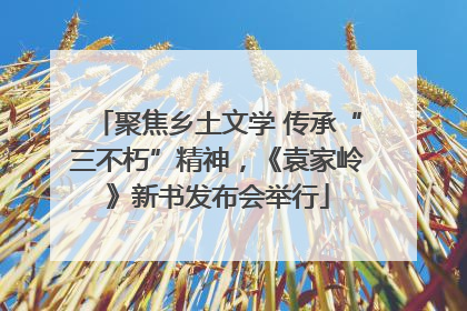 聚焦乡土文学 传承“三不朽”精神，《袁家岭》新书发布会举行
