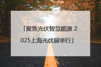 聚焦光伏智慧能源 2025上海光伏展举行