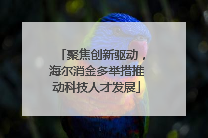 聚焦创新驱动，海尔消金多举措推动科技人才发展
