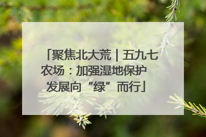 聚焦北大荒｜五九七农场：加强湿地保护 发展向“绿”而行