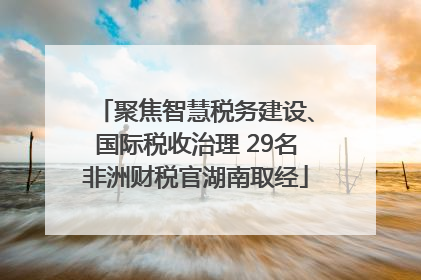 聚焦智慧税务建设、国际税收治理 29名非洲财税官湖南取经