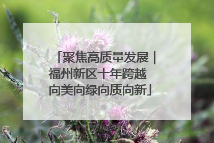 聚焦高质量发展｜福州新区十年跨越 向美向绿向质向新