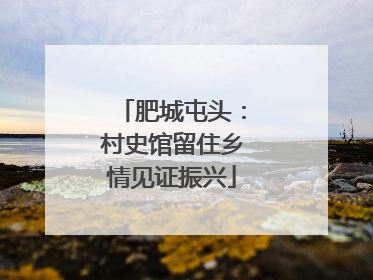 肥城屯头：村史馆留住乡情见证振兴