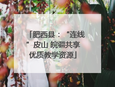 肥西县：“连线”皮山 皖疆共享优质教学资源