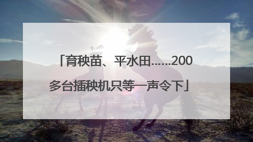育秧苗、平水田……200多台插秧机只等一声令下