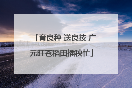 育良种 送良技 广元旺苍稻田插秧忙