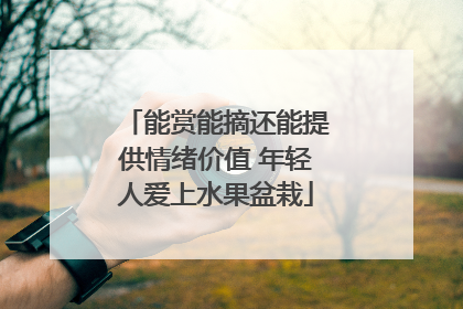 能赏能摘还能提供情绪价值 年轻人爱上水果盆栽