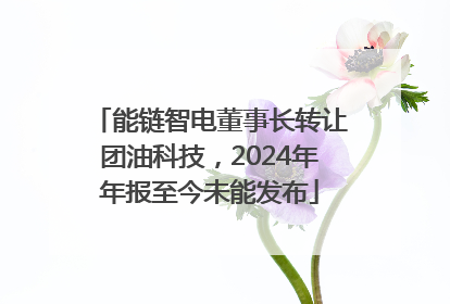 能链智电董事长转让团油科技，2024年年报至今未能发布