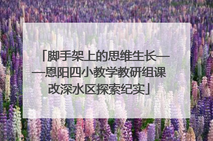 脚手架上的思维生长——恩阳四小教学教研组课改深水区探索纪实