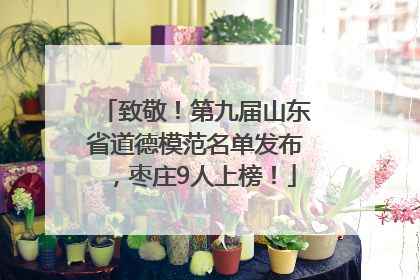 致敬！第九届山东省道德模范名单发布，枣庄9人上榜！