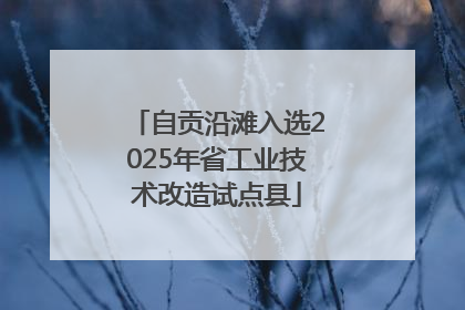 自贡沿滩入选2025年省工业技术改造试点县