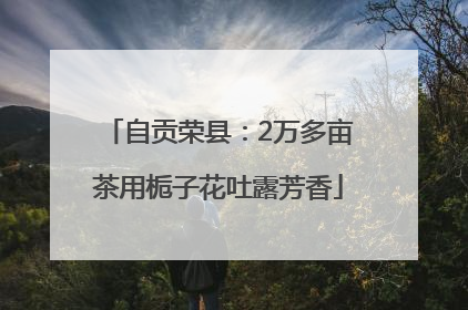 自贡荣县：2万多亩茶用栀子花吐露芳香