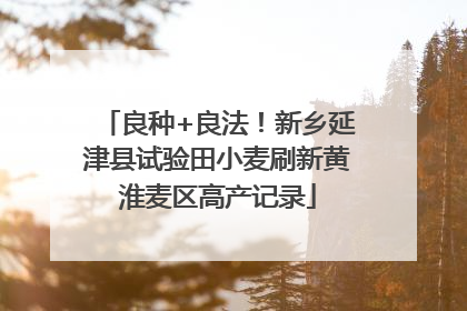 良种+良法！新乡延津县试验田小麦刷新黄淮麦区高产记录