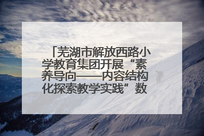 芜湖市解放西路小学教育集团开展“素养导向——内容结构化探索教学实践”数学专题研讨活动