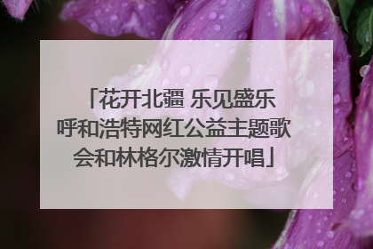 花开北疆 乐见盛乐 呼和浩特网红公益主题歌会和林格尔激情开唱
