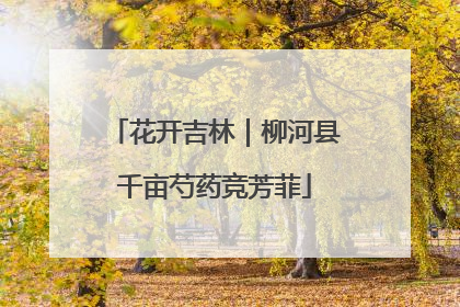 花开吉林｜柳河县千亩芍药竞芳菲