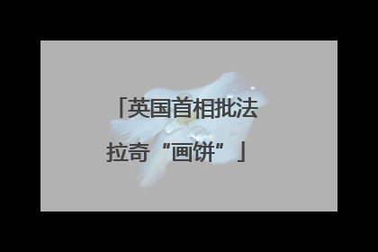 英国首相批法拉奇“画饼”