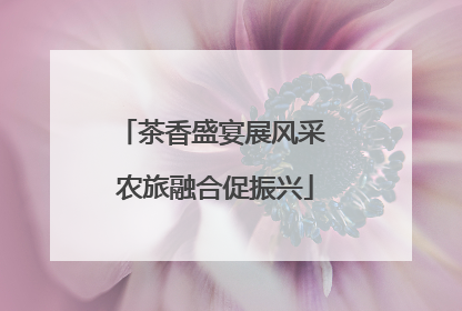茶香盛宴展风采 农旅融合促振兴