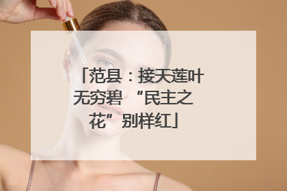 范县：接天莲叶无穷碧 “民主之花”别样红