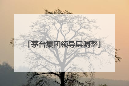 茅台集团领导层调整