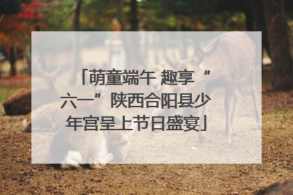 萌童端午 趣享“六一”陕西合阳县少年宫呈上节日盛宴