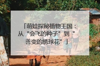 萌娃探秘植物王国：从“会飞的种子”到“善变的绣球花”