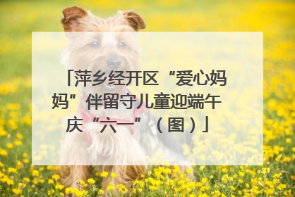萍乡经开区“爱心妈妈”伴留守儿童迎端午庆“六一”（图）