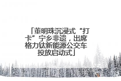董明珠沉浸式“打卡”宁乡非遗，出席格力钛新能源公交车投放启动式