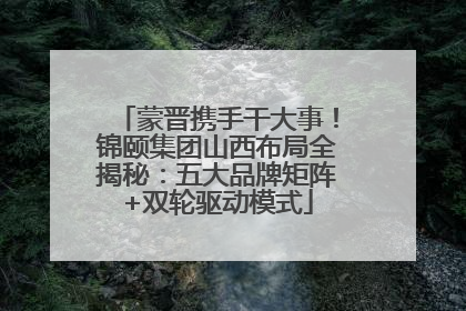 蒙晋携手干大事！锦颐集团山西布局全揭秘：五大品牌矩阵+双轮驱动模式
