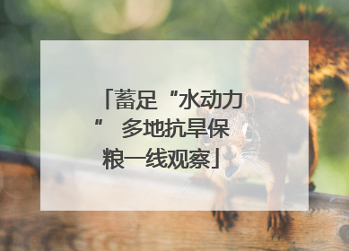 蓄足“水动力” 多地抗旱保粮一线观察