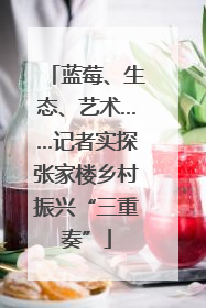 蓝莓、生态、艺术……记者实探张家楼乡村振兴“三重奏”
