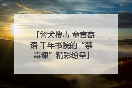 警犬搜毒 童言寄语 千年书院的“禁毒课”精彩纷呈