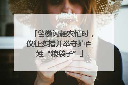 警徽闪耀农忙时，仪征多措并举守护百姓“粮袋子”