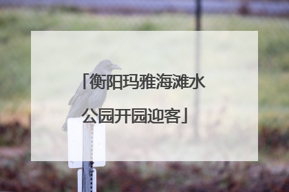 衡阳玛雅海滩水公园开园迎客