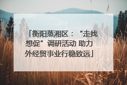 衡阳蒸湘区：“走找想促”调研活动 助力外经贸事业行稳致远