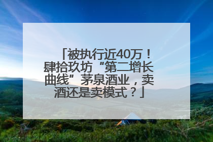 被执行近40万！肆拾玖坊“第二增长曲线”茅泉酒业，卖酒还是卖模式？