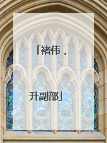 褚伟，升副部
