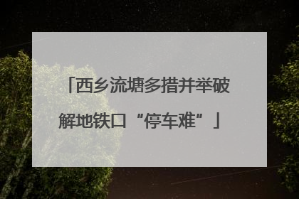 西乡流塘多措并举破解地铁口“停车难”