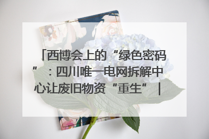 西博会上的“绿色密码”：四川唯一电网拆解中心让废旧物资“重生”｜西博寻“新”记