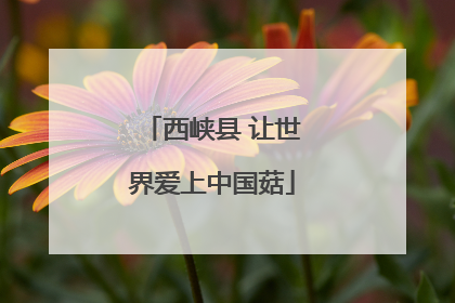 西峡县 让世界爱上中国菇